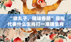 “猪丸子，辣味香肠”是指代表什么生肖打一准确生肖，精粹词汇答案注解与探析