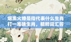 烟熏火燎是指代表什么生肖打一准确生肖，精粹词汇答案注解与探析