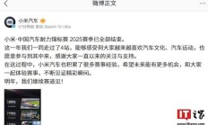 小米・中国汽车耐力锦标赛 2025 赛季全部结束，明年继续赛道见