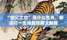 “田父之功”是什么生肖，解读打一生肖最佳释义解释