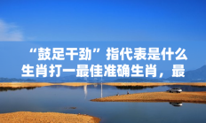 “鼓足干劲”指代表是什么生肖打一最佳准确生肖，最佳释义独家答案解释