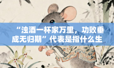 “浊酒一杯家万里，功败垂成无归期”代表是指什么生肖打一最佳生肖，精粹词汇答案注解与探析