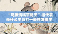 “马蹄清晓草黏天”指代表是什么生肖打一最佳准确生肖，精选释义词语答案解释