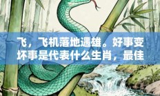飞，飞机落地遇雄。好事变坏事是代表什么生肖，最佳打一生肖答案释义解释