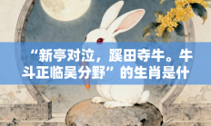 “新亭对泣，蹊田夺牛。牛斗正临吴分野”的生肖是什么打一准确生肖，落实词语含义阐述答解