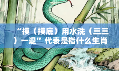 “摸（摸底）用水洗（三三）一退”代表是指什么生肖打一最佳生肖，落实词语含义阐述答解