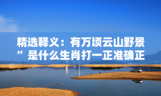 精选释义：有万顷云山野景”是什么生肖打一正准确正确生肖，精选释义词语答案解释