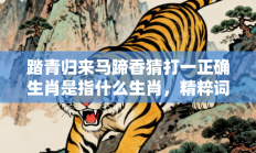 踏青归来马蹄香猜打一正确生肖是指什么生肖，精粹词汇答案注解与探析