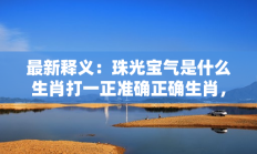 最新释义：珠光宝气是什么生肖打一正准确正确生肖，最佳释义独家答案解释