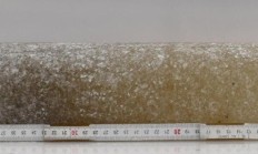 科学家在南极挖到 600 万年前的“冰疙瘩”，里面裹着史前空气