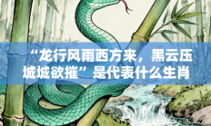 “龙行风雨西方来，黑云压城城欲摧”是代表什么生肖打一准确最佳生肖，精选释义答案解释!
