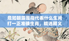 危如朝露是指代表什么生肖打一正准确生肖，精选释义词语答案解释