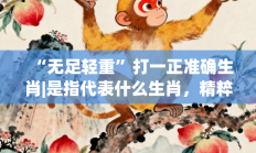 “无足轻重”打一正准确生肖|是指代表什么生肖，精粹词汇答案注解与探析