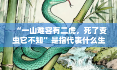 “一山难容有二虎，死了变虫它不知”是指代表什么生肖打一准确生肖，精选词语释义答案深度剖析