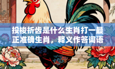 投梭折齿是什么生肖打一最正准确生肖，释义作答词语解释赏析