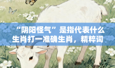 “阴阳怪气”是指代表什么生肖打一准确生肖，精粹词汇答案注解与探析