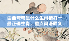 曲曲弯弯是什么生肖猜打一最正确生肖，重点词语释义答案深度解读