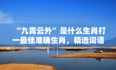 “九霄云外”是什么生肖打一最佳准确生肖，精选词语释义答案深度剖析