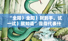 “全阳）全阳）财到手。试一试）就知道”是指代表什么生肖打一准确生肖，精粹词汇答案注解与探析