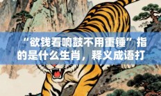 “欲钱看响鼓不用重锤”指的是什么生肖，释义成语打一生肖落实解释!