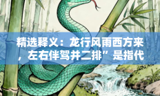 精选释义：龙行风雨西方来，左右伴驾并二排”是指代表什么生肖打一正准确生肖，落实词语含义阐述答解