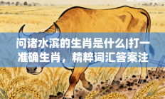 问诸水滨的生肖是什么|打一准确生肖，精粹词汇答案注解与探析