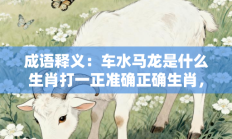 成语释义：车水马龙是什么生肖打一正准确正确生肖，核心词汇释义剖析与答案阐释