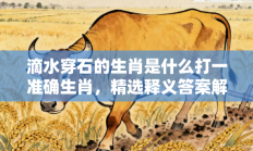 滴水穿石的生肖是什么打一准确生肖，精选释义答案解释!