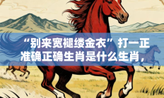 “别来宽褪缕金衣”打一正准确正确生肖是什么生肖，落实词语含义阐述答解