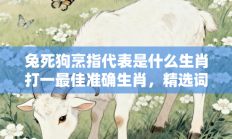 兔死狗烹指代表是什么生肖打一最佳准确生肖，精选词语释义答案深度剖析