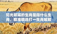 阳光明媚的生肖是指什么生肖，精准精选打一生肖解释落实!