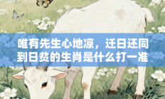 唯有先生心地凉，迁日还同到日贫的生肖是什么打一准确生肖，核心词汇释义剖析与答案阐释