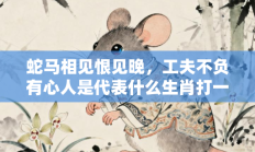 蛇马相见恨见晚，工夫不负有心人是代表什么生肖打一最佳生肖，精选释义答案解释!