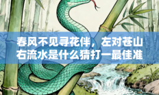 春风不见寻花伴，左对苍山右流水是什么猜打一最佳准确生肖，释义作答词语解释赏析