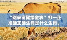 “别来宽褪缕金衣”打一正准确正确生肖是什么生肖，精选词语释义答案深度剖析