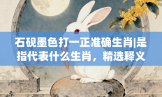 石砚墨色打一正准确生肖|是指代表什么生肖，精选释义词语答案解释