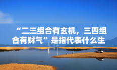 “二三组合有玄机，三四组合有财气”是指代表什么生肖打一准确生肖，落实词语含义阐述答解