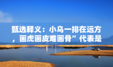 甄选释义：小乌一排在远方，画虎画皮难画骨”代表是指什么生肖打一正准确生肖，落实词语含义阐述答解