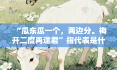 “瓜东瓜一个，两边分。梅开二度再逢君”指代表是什么生肖打一最佳准确生肖，最佳释义独家答案解释