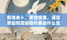 前途未卜，更宜慎重，谋定思动知吉凶指代表是什么生肖打一最佳准确生肖，核心词汇释义剖析与答案阐释