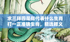 求三拜四是指代表什么生肖打一正准确生肖，精选释义词语答案解释