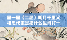 屈一屈（二屈）明月千里又相思代表是指什么生肖打一最佳生肖，核心词汇释义剖析与答案阐释