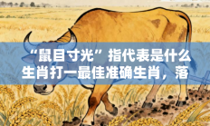 “鼠目寸光”指代表是什么生肖打一最佳准确生肖，落实词语含义阐述答解