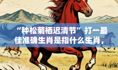 “种松菊栖迟清节”打一最佳准确生肖是指什么生肖，重点词语释义答案深度解读