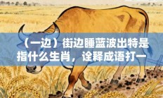 （一边）街边睡蓝波出特是指什么生肖，诠释成语打一生肖落实作答!