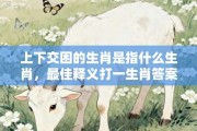 上下交困的生肖是指什么生肖，最佳释义打一生肖答案解释!