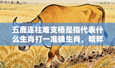 五鹿连柱难支梧是指代表什么生肖打一准确生肖，精粹词汇答案注解与探析