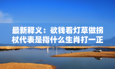 最新释义：欲钱看灯草做拐杖代表是指什么生肖打一正准确生肖，核心词汇释义剖析与答案阐释