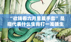 “欲钱看六月里戴手套”是指代表什么生肖打一准确生肖，精粹词汇答案注解与探析