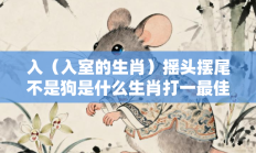 入（入室的生肖）摇头摆尾不是狗是什么生肖打一最佳准确生肖，精选释义词语答案解释